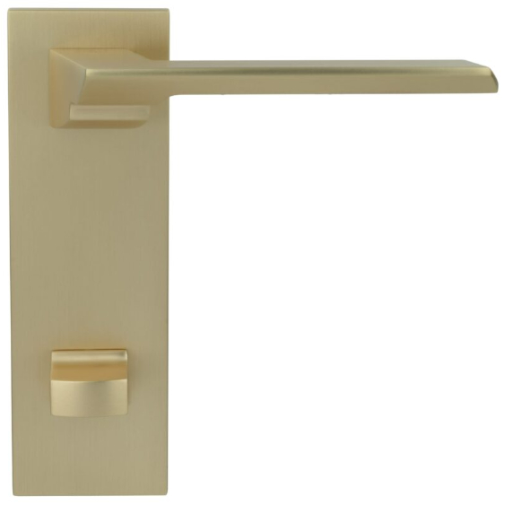 дверные ручки  Porta di Parma Italia на широкой планке золото матовое